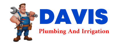 Trusted plumber in BEEVILLE